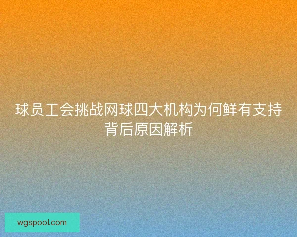 球员工会挑战网球四大机构为何鲜有支持背后原因解析