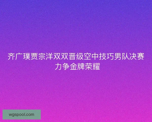 齐广璞贾宗洋双双晋级空中技巧男队决赛 力争金牌荣耀